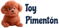 Caniches Rojos Toy Pimenton